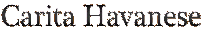 Carita Havanese, Havanese, havanese puppies, chocolate havanese, red havanese, Virginia and Mid-Atlantic